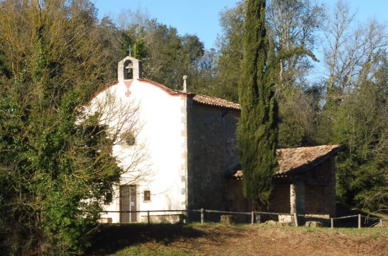 CALCINA-GATONERA-FOTO