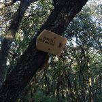 CANET-BRUGUETAR-FOTO