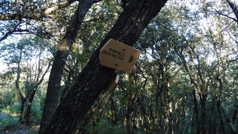 CANET-BRUGUETAR-FOTO