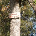 HOSTALETS-URIA-GATONERA-FOTO