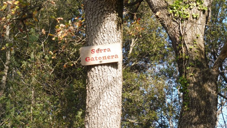 HOSTALETS-URIA-GATONERA-FOTO