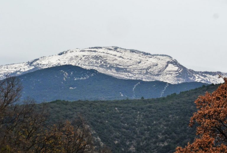 JOAN-CASTELLAR-CAU-FOTO
