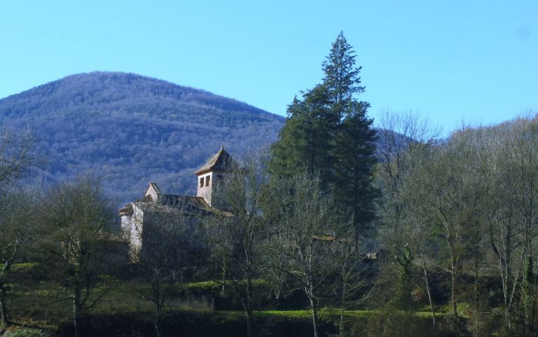 MARGARIDA-DESPUIG-SOLOMAL-FOTO