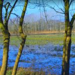 SILS-ESTANY-MACANET-FOTO