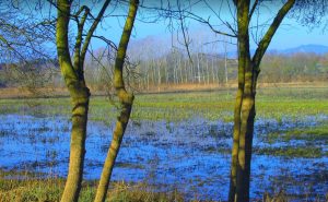 SILS-ESTANY-MACANET-FOTO
