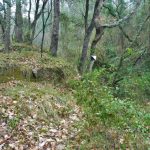 VASSESGANYES-ROCAFORCADA-SERRADEVALL-FOTO