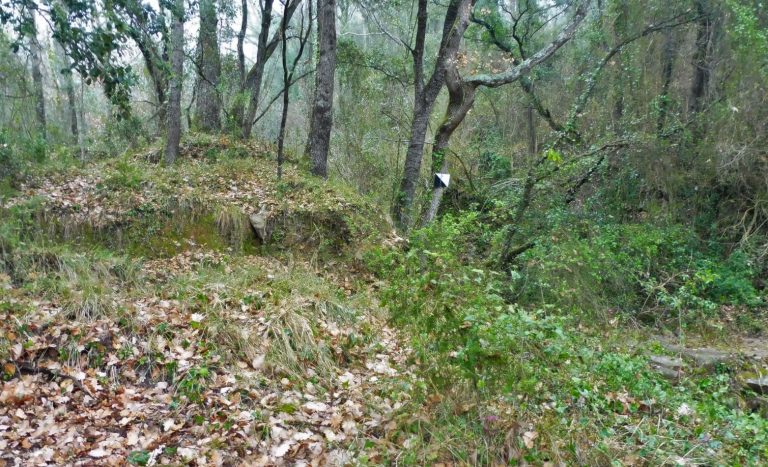 VASSESGANYES-ROCAFORCADA-SERRADEVALL-FOTO