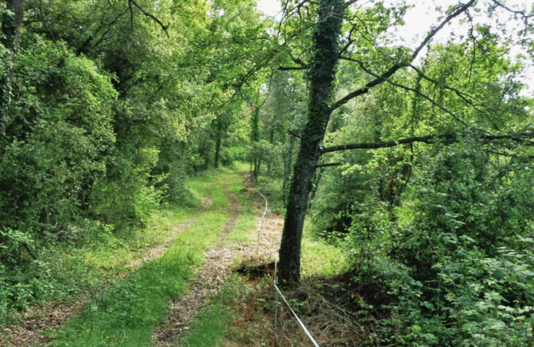 BIANYA-PUIGSOLANA-FOTO