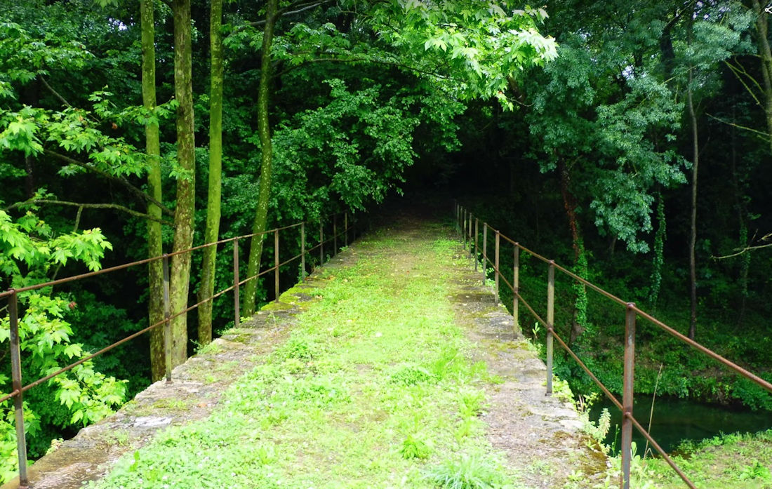 RUTA.ROMANI-FOTO