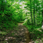 SANT-JOAN-CAPSACOSTA-FOTO