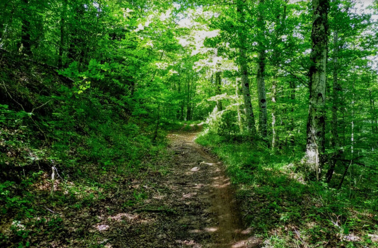 SANT-JOAN-CAPSACOSTA-FOTO