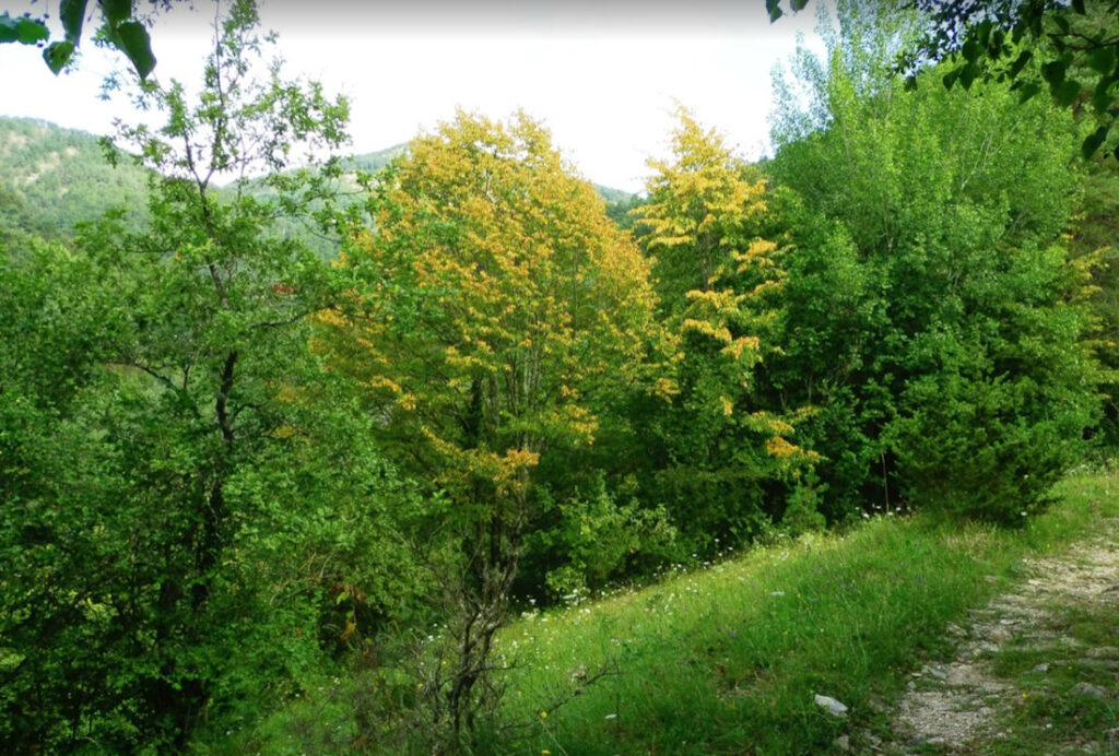 ABADESSES-MUIG-FOTOS