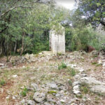 BAC-PLANESLLOSES-FOTO