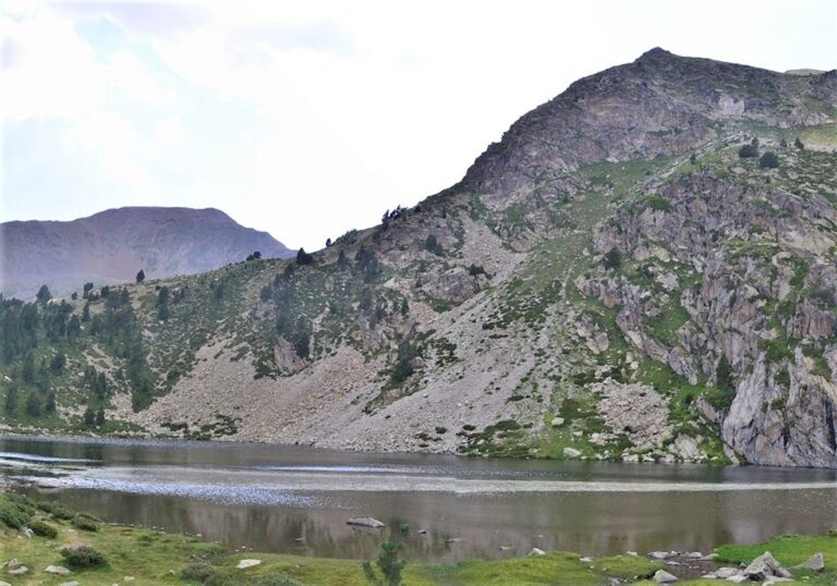 RABASSA-ESTANY-PERA-FOTO