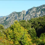 SADERNES-BARBARA-POLI-FOTO