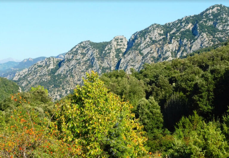 SADERNES-BARBARA-POLI-FOTO