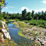 GREGORI-CONSTANTINS-GRAU-FOTO