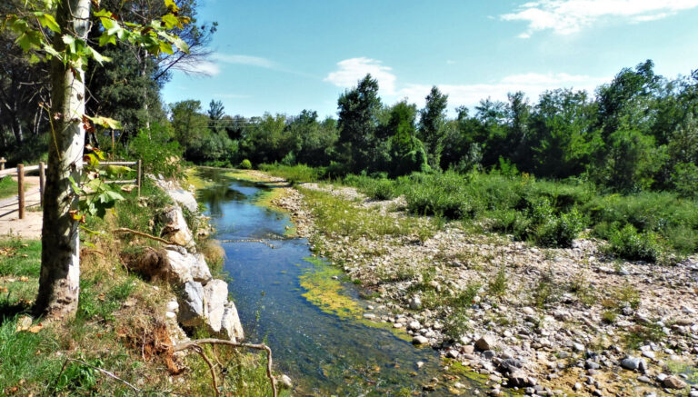 GREGORI-CONSTANTINS-GRAU-FOTO