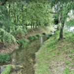 MIERES-COLL-PALOMERES-PLA-PALLERS-FOTO