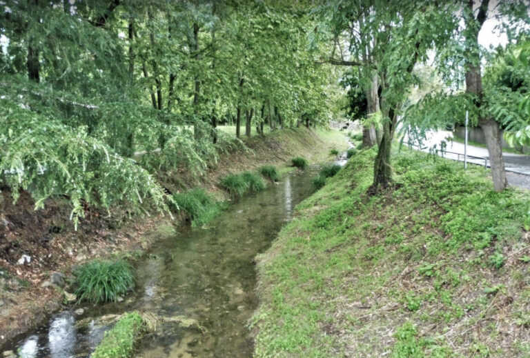 MIERES-COLL-PALOMERES-PLA-PALLERS-FOTO