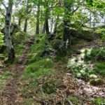 RIPOLL-CATLLAR-VILARDEll-FOTO