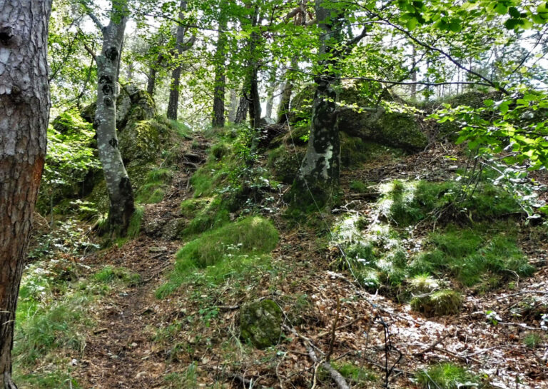 RIPOLL-CATLLAR-VILARDEll-FOTO