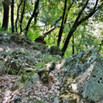 SENDER-CAN-JOANET-FOTO