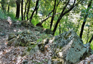 SENDER-CAN-JOANET-FOTO