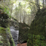 ESCLETXES-SALLENT-FOTO