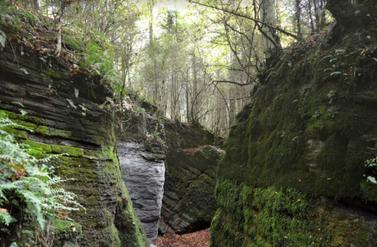 ESCLETXES-SALLENT-FOTO