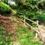 MIERES-PALLERS-PALOMERA-FOTO