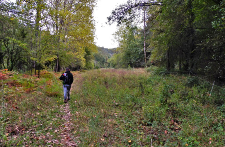 SOLDAT-SALAMINA-FOTO