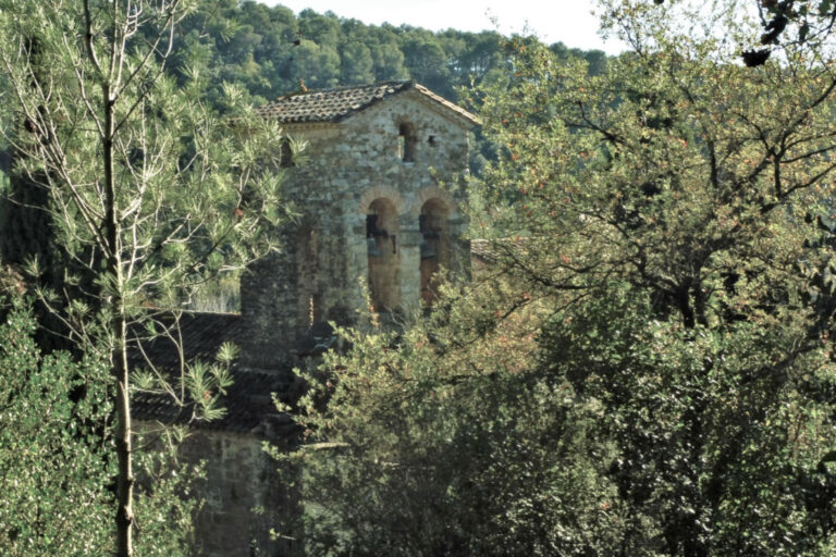 LLIGORDA-BESALU-PALERA-FOTO