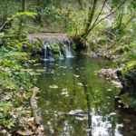 MAIA-DOSQUERS-PUDOSA-FOTO