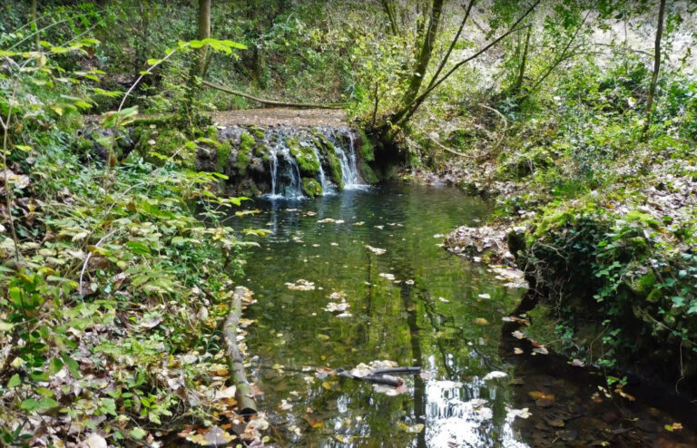 MAIA-DOSQUERS-PUDOSA-FOTO