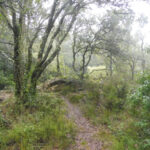 SETRRAT-CAN-BATLLE-FOTO