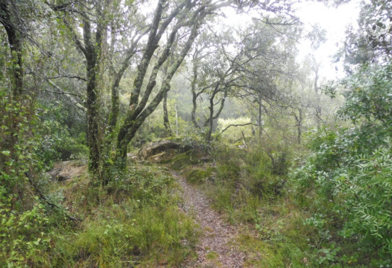 SETRRAT-CAN-BATLLE-FOTO