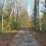 LLIGORDA-BESALU-DOSQUERS-FOTO