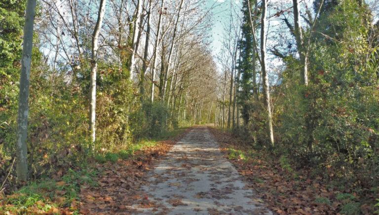 LLIGORDA-BESALU-DOSQUERS-FOTO