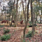 MONAGUT-POLIGUER-JAUME-FOTO