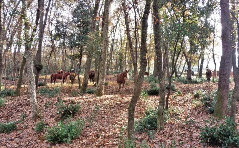 MONAGUT-POLIGUER-JAUME-FOTO