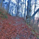 PUIGPARDINES-JOANETES-OLLETES-REC-FOTO