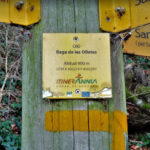 PUIGPARDINES-JOANETES-OLLETES-VIDALIC-TERCERA-FOTO