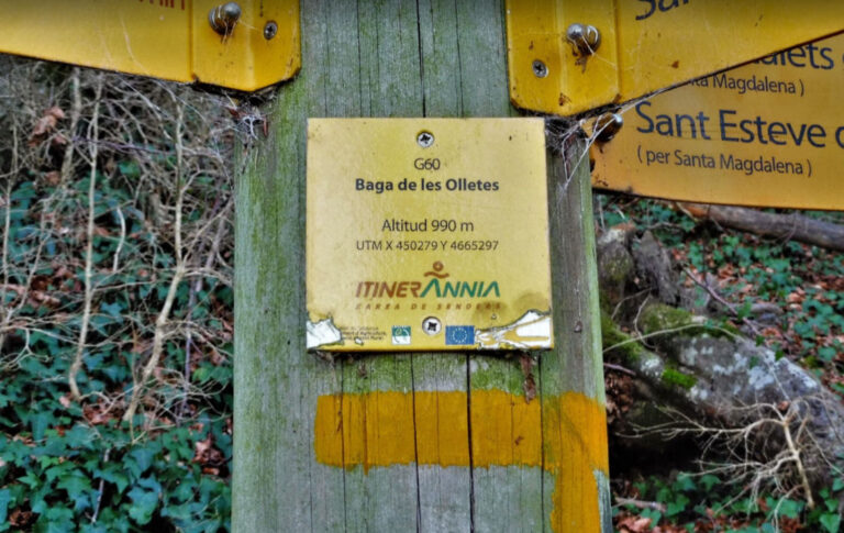 PUIGPARDINES-JOANETES-OLLETES-VIDALIC-TERCERA-FOTO