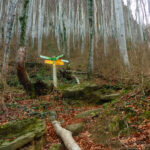 PUIGPARDINES--OLLETES-FOTO