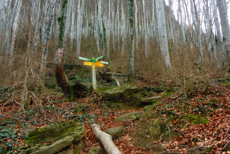 PUIGPARDINES--OLLETES-FOTO