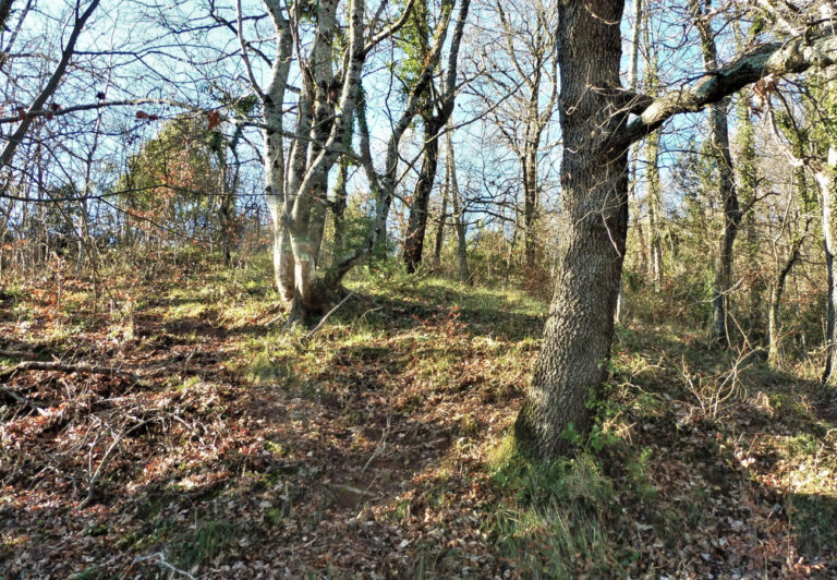 RIUDAURA-LLORS-CORTILS-FOTO