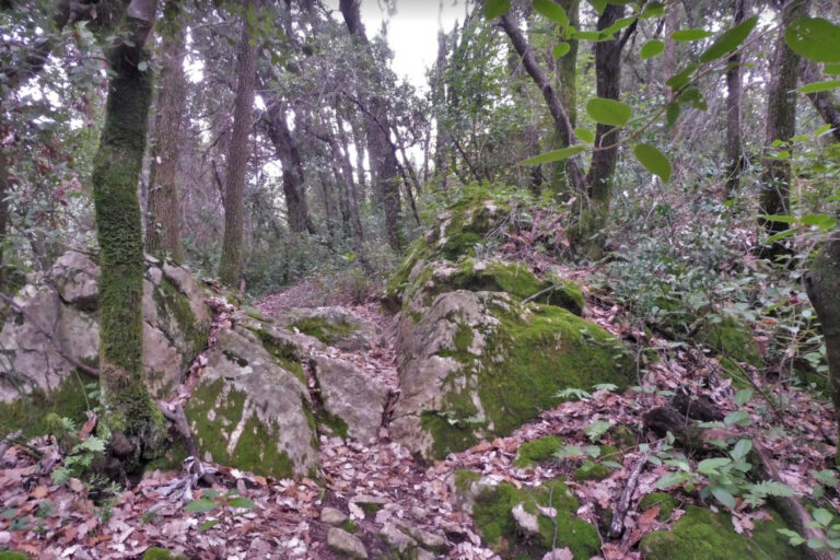 SANTA-PAU-PUIG-DE-MAR-FOTO