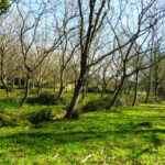 ARGELAGUER-JAUME-TOTELLA-FOTO