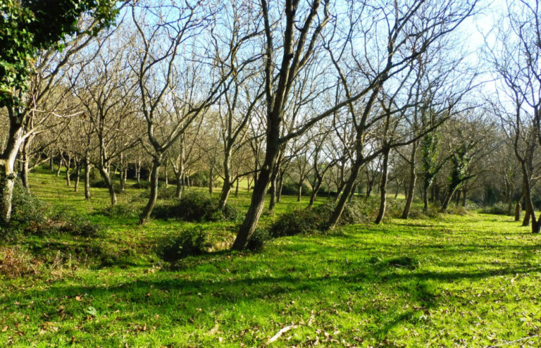 ARGELAGUER-JAUME-TOTELLA-FOTO